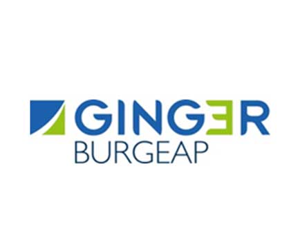 ginger